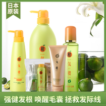 Special size baldness is saved in Japan Citrus gas building Anti-hair loss silicone-free oil control hair shampoo for men and women pregnant women through