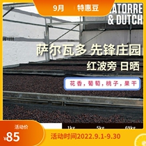 El Salvador Pioneer Manor Red Bourbon Sun-dried Ecofang Green Beans 2021