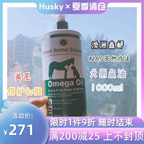 Now Australia NAS pet dog deep sea natural therapy beautiful hair bright hair French Doo Corgi anti-hair loss dog fish oil 1L