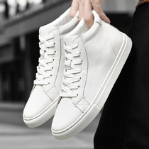 Tide card Little white shoes mens real leather high help 100 hitch all season big code 49 small code 36 Korean version trend to help casual board shoes