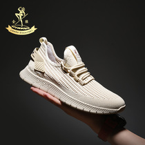 Golden Monkey Mens Shoes 2022 Summer New Hollowed-out Breathable Mesh Face Shoes Sports Casual Light Slow Shock Soft Bottom Running Shoes