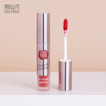 Willow Wood fog face lip glaze female student dye lip lip liquid lipstick honey matte mirror Lasting Moisturizing is not easy to decolorize