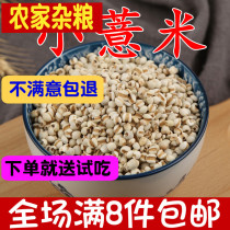 Small Grain Pearl Barley New Goods Farmhouse Self-produced Pearl Barley Pearl Barley Pearl Barleys tears rice kernel 250g staying porridge coarse grain