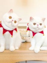 Pet Christmas Cat Enclosure Neck Cat Scarf Round Mouth Cat Saliva scarves decorative items Cute Shooting Props