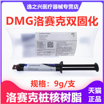 Dental Material DMG Losaik Double Curing Pile Nuclear Resin Fiber Pile Bonding Resin Dentistry Oral Double Curing