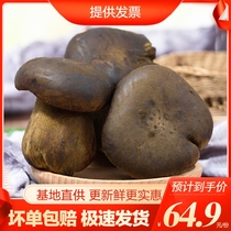 Spot fresh black Boletus 500g see hand Qingyunnan specialty mushroom edible fungus non-wild dry goods