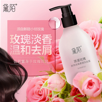 (Exclusive for good things experience) Daimo Anti-Dandruff Shampoo Oil Control Soft and Frizz Shampoo Rose Essence