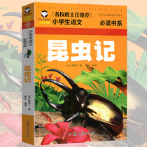 (Choose 3 books and 15 yuan) Insects Genuine color picture phonetic childrens literature 6-7-8-9-10 years old with pinyin Primary School students extracurricular reading books first second and third grade extracurricular books storybook reading