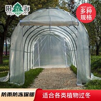 Warm room greenhouse fleshy flower plant insulation shed balcony terrace roof rainproof and antifreeze seedling vegetable shed