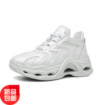Angshan OFFSUN 22003 Ladies Mesh Trend Tourism Sports Casual Old Daddy Fashion Heightening Bodybuilding Shoes