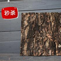 China champagne bark oak bark Bolt tree fish tank reptile background oak l bark champagne wood landscape crawling pet hide
