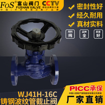 Bellows globe valve cast steel flange connection Shanghai Toyama WJ41H-16C