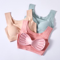 Japanese Duvet Double-sided Comfort Underwear without scar fever Warm Comfort Poly-proof Walking Light Chest Cushion No Steel Ring