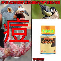 Heart pigeon dove drug dove drug parrot bird pox medicine Oral nose eyelid claw Perianal Feet Minister Acne Rhinoblastoma