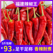 Spicy Fujian chili king Authentic Gutian Chaotian pepper Premium braised duck neck special dried chili Freshly caught chili