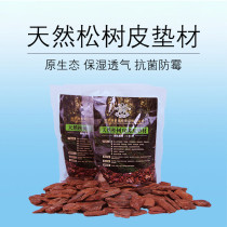 Climbing mat tortoise feeding box deodorant mat lizard natural bark mat chameleon moisturizing mat