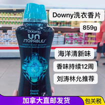 Direct mail Canada He Sui recommended clothing laundry fragrant tablets soft and powerful to remove flavor pine 859G