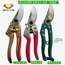Factory sales SK5 fruit branch shears flower and tree horticultural scissors flower cutting force rough branch shears pruning shears fruit tree scissors