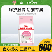 E Favorite Royal Away Milk Period Infant Cat Food Pregnancy Nursing Period Mother Cat Food Young Cat Yingshort Beauty Short K36 Young Cat Food 10kg