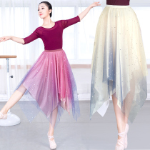 Net gauze gradual change dress female modern square dance costume foundation training ballet dance practice form a person dance skirt
