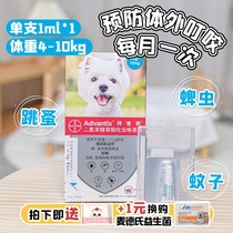 (Shunfeng) Spoiled dogs with in vitro anthelmintic drops to remove fleas Bayer 4-10kg single branch