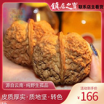 Updated) Wenwen play walnut big belly wild Yunnan cloud iron walnut boutique nuclear head play stuffy lion head