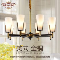 American all copper chandelier living room lamp post modern simple light luxury copper lamp simple beauty style simple European bedroom lamp