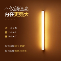 Human body sensor light night light home aisle stairway sound and light control long smart wardrobe cabinet bedside charging