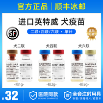 Imported Inttwich dog with two UFV vaccine dog puppy dog generic vaccine 1 needle