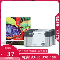 Breeding half-water turtle grain yellow-edge closed-shell turtle yellow-fronted serrated golden tortoise Turtle half-water closed-shell turtle professional tortoise grain