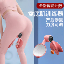 Post-Exercise Patient Repair and LegPunch Link Artificial Artificial Household Use of Basin Muscle Trainer