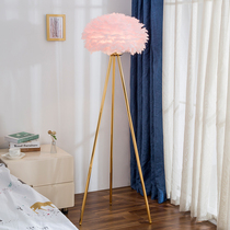 Feather floor lamp Living room sofa Simple bedroom light luxury net red light Nordic creative ins bedside vertical table lamp