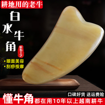 Xinxuan facial facial beauty natural horn hanging Shaguar sand film buckle Pat home shave back special scraping board