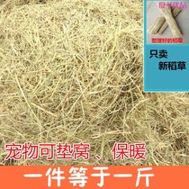 Chicken Nest Straw Lacquered Rabbit Dutch Pig Warm Pets Edible Grass Natural Grass stack Grass Rope Pet Hay Mat Nest
