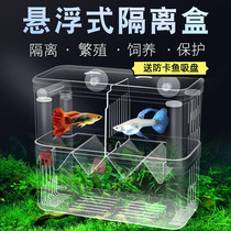 Fish tank isolation box Peacock fish breeding box suspended small fish juvenile fish tropical fish hatchbox outside independent production house