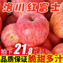 Pure Fragrant Fruit Luochuan Apple Fruit Fresh Shaanxi Seasonal Red Fuji Apple Whole Box 10 Jin Big Fruit