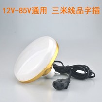 12-85V battery lamp outdoor car outdoor low pressure lamp stall LED electric car character plug lighting
