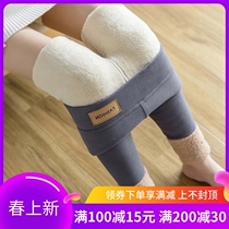 Japan Beating Underpants Womens Thick Goat Velvet Winter Plus Suede Thickening Integrated High Waist Elastic Expats Slim Warm Pants External Wear
