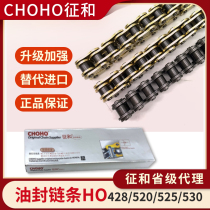 Signs and Motorcycle chain Gold oil seal chain 428520525 530HO Type gw250 Suit Accessories