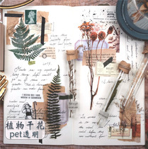 Of course creative plant imitation dried flower series Transparent pet sticker bag hand account decoration material paste diy hand account