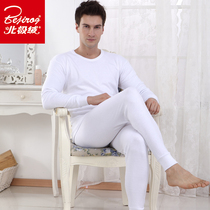 Arctic Velvet men 100% cotton thin warm underwear set round neck cotton autumn pants white cotton sweater