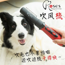 roses pet blowing comb dog cat hair dryer puppies bathing method fighting border pasture blowing hair blower