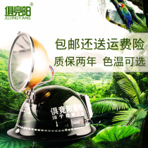 18cm 55W strong light hernia lamp outdoor fishing Searchlight long range helmet lamp Jingyang 100W xenon lamp