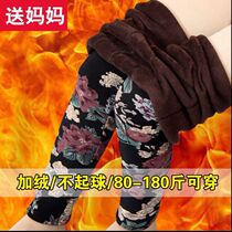 Flower color plus velvet padded leggings women wear autumn elastic size warm middle-aged women pants mother cotton pants winter