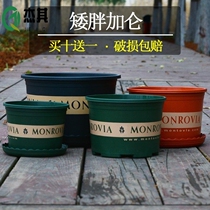 Isometric Plant 0 5 gallons Rose Control Root height 12 15 13 18cm Strawberry 1 8 gallons 5 gallons Flower Pot