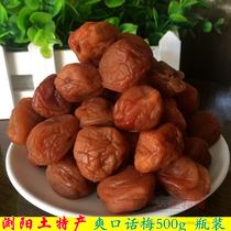 Hunan Liuyang special production Leisure snack Su-style talk plum April Meric sweet appetizers plum dried plum dry 500g