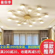 Nordic atmosphere Light luxury living room ceiling lamp led postmodern simple creative personality art Dining room bedroom lamps