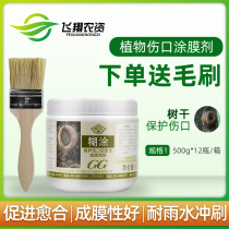 Guoguang muddled plant wound coating agent Big Tree wound healing agent Big Tree coating agent seedling fruit tree application agent