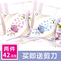 Cross stitch pillow couple a pair of 2021 New thread embroidery small pieces handmade home embroidered living room pillow cover