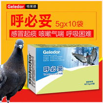 Glade pigeon medicine Respiratory tract special cough asthma snoring snoring sneezing cleaning up the respiratory tract Pigeon medicine Daquan